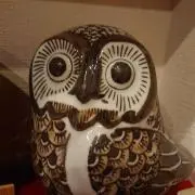 テンちゃんの画像