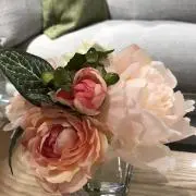 陶子⭐️6月11日より30日まで休みますの画像