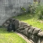 rkanek 断捨離中の画像