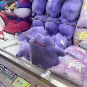 あきあきの画像