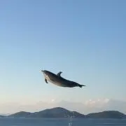 kyの画像