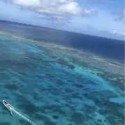 Jの画像