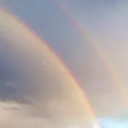 さらりの画像