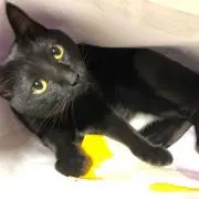 ♡すぎもも♡