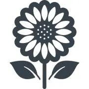 sun flowerの画像