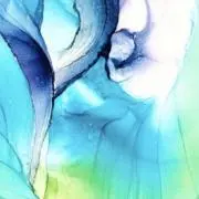 ＮＲykrの画像