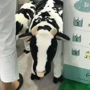 トライボン