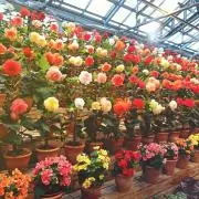 renk22abcの画像