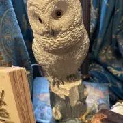 すず。の画像