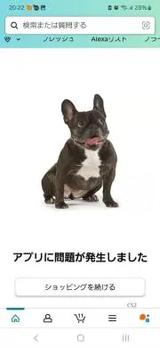 しんしん