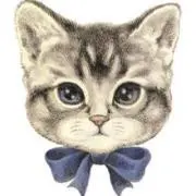 リブ✳︎プロフ確認してくださいの画像