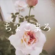 ちょこまろ✽まとめ買い値下げ◎の画像