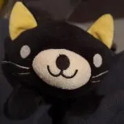 24の画像