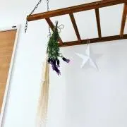 a.の画像