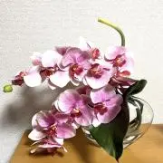 ヤッピー