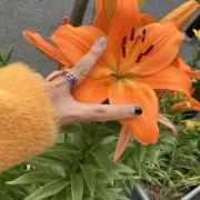 ☆★☆の画像