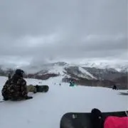 りゅうの画像
