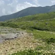 barubaru88の画像