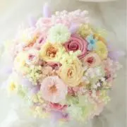 ♡app♡