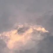 るるるの画像