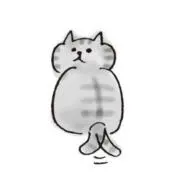 Yuの画像