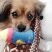 らぶちゃお☆