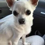 ホップ