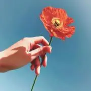 CHA