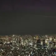 DDOMの画像
