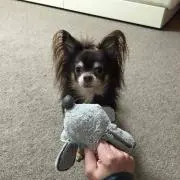 みやろ