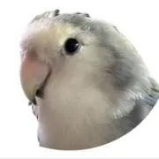 たこ兵衛