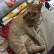takeru