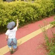 みゆっぺ