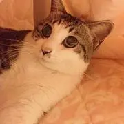nontanの画像