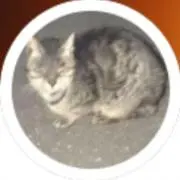 ピタて