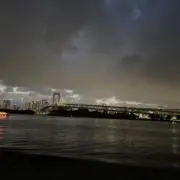 たいの画像