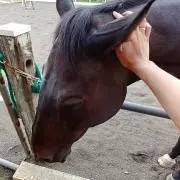 べべ