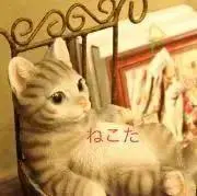 ねこたの画像
