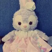 ゆっこの画像