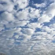 まーむ