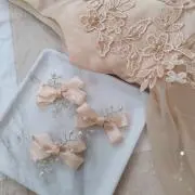 diaの画像