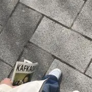 ムギの画像