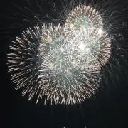 タラちゃん