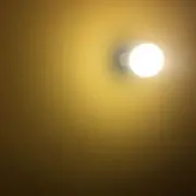くまリスの画像