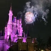 アムル☆ 8月24日～月末まで発送‪✕‬の画像