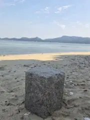 りんの画像