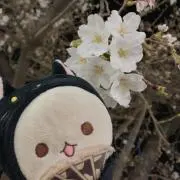 きな子の画像