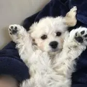 miの画像