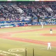 かばの画像