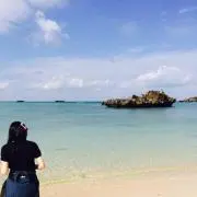 シフォンの画像
